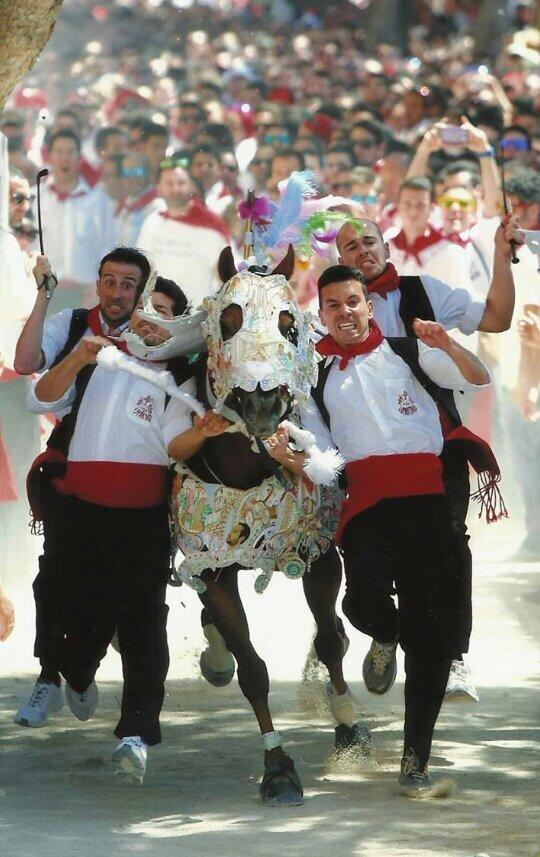CdlV_Espartaco's tweet photo. Carrera Valida!!!
Tiempo Realizado 8,439!!
Se coloca en Primera posicion!!
MOMENTAZO DE AYER
5 PREMIO DE CARRERA http://t.co/C9kyPatasP