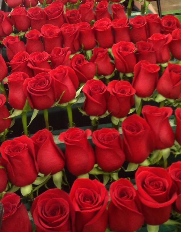 GregFischerLou's tweet image. Happy Derby 140. A warm Louisville welcome to our many guests; today, all the world's people are Kentuckians