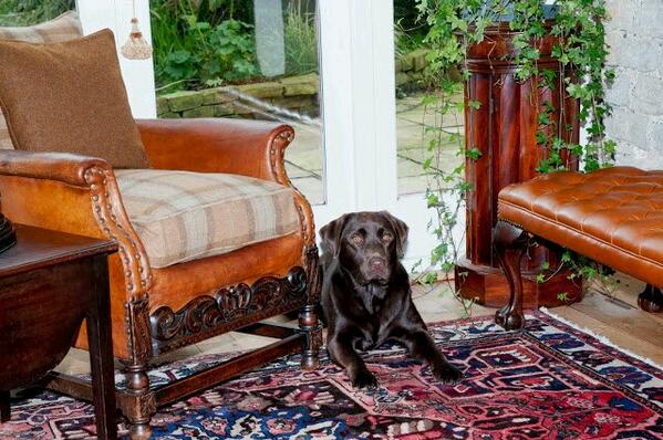 #antique #furniture celebrating #British #country #style #legacy for relaxed #luxury #living &amp; #lifestyle.<a href="/SloaneHome/">Sloane Home</a>