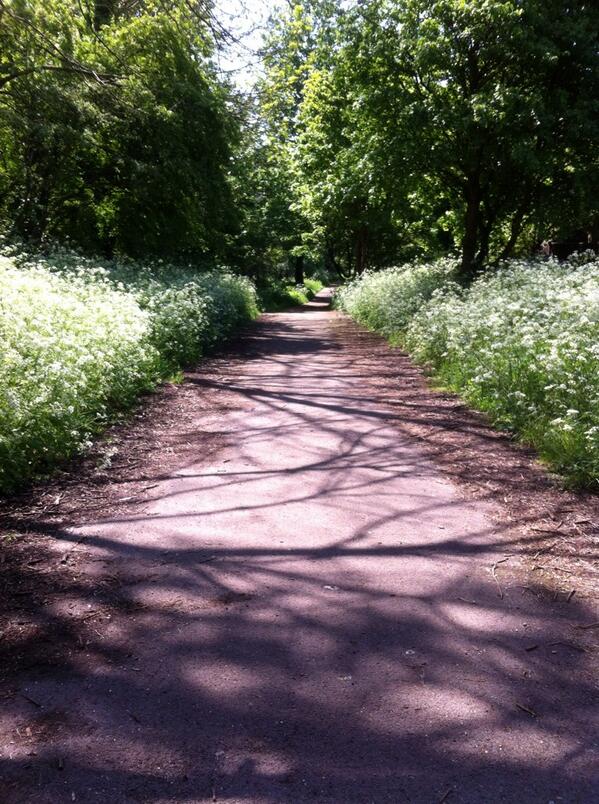 LoboSavs's tweet photo. The wildness of London http://t.co/hCPjzO9Koi