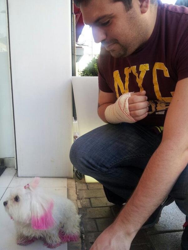 KrrteAndo's tweet photo. Este #cachorro que me encontré por la #calle es lo más de #fashion!!!!! http://t.co/lIp1T1dior