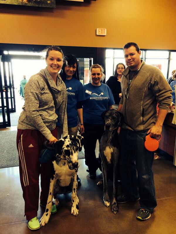 Great Day for Great Danes !!