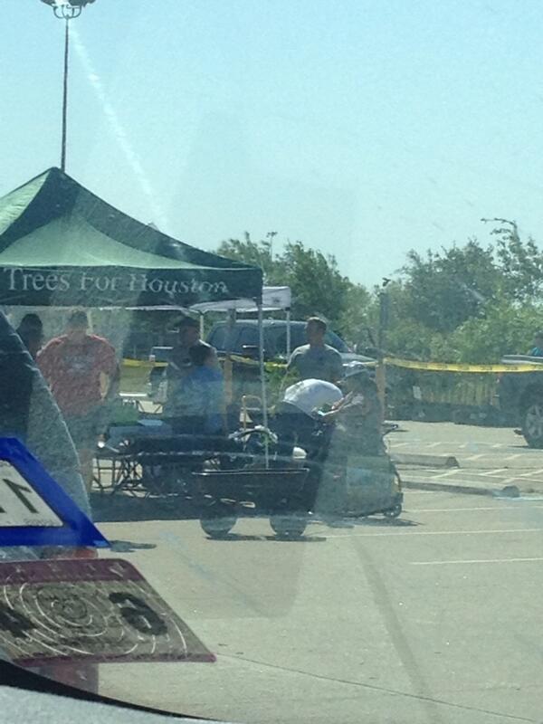 bugglesbear's tweet image. Picking up our trees #freetrees #centerpoint #treesforhouston