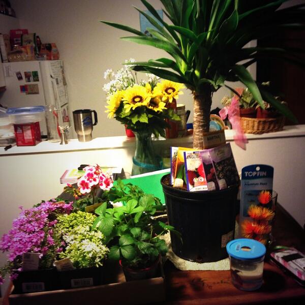 LynguisticLC's tweet photo. yessssss! #spring http://t.co/FsBiFrGRtD
