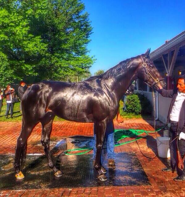 VIPBookieBuster's tweet image. #DERBY DAY! 🐎

$1 Tri Box ($60) 4/5/10/12/16 
$2 Tri Box ($48) 4/5/12/16
$10 Ex Box ($60) 4/5/12
$20 ($60) ATB 12