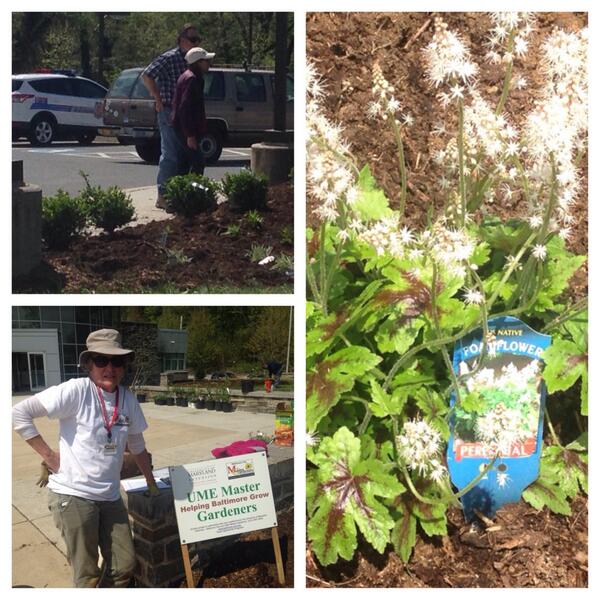 BaltimorePolice's tweet photo. #OneBaltimore Volunteers and community partners helped to beautify #BPDND today by planting over 150 flowers!! http://t.co/uGT2s29Ykf