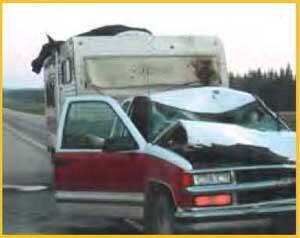 Weekend trip? Watch out for roadside animals.Try #Avoideer app and be warned. #deer #alerts bit.ly/1fEsMQD