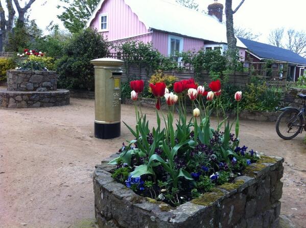 <a href="/Sark_Island/">Sark Island</a> <a href="/HesterDressage/">Carl Hester MBE</a> gold post box still shining beside #sarkspring tulips. #sark... a golden world apart.
