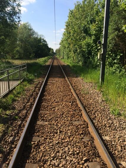 FlyCommission's tweet image. Part of today's adventure, fish to follow... #tfc #urbantrout #flyfishing