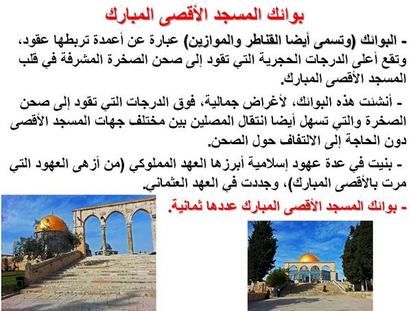 maqdeseyyah tweet picture