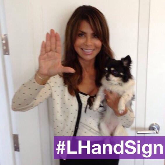 runningforlupus's tweet photo. May is #LupusAwarenessMonth

but first let me take a selfie 💜✋

#LHandSign #Lupus
@PaulaAbdul http://t.co/3ZXUfFhIxk