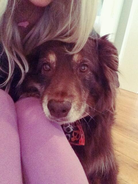 DogHuge's tweet photo. mommy giving me sum luvin http://t.co/lrPmfC0ym9