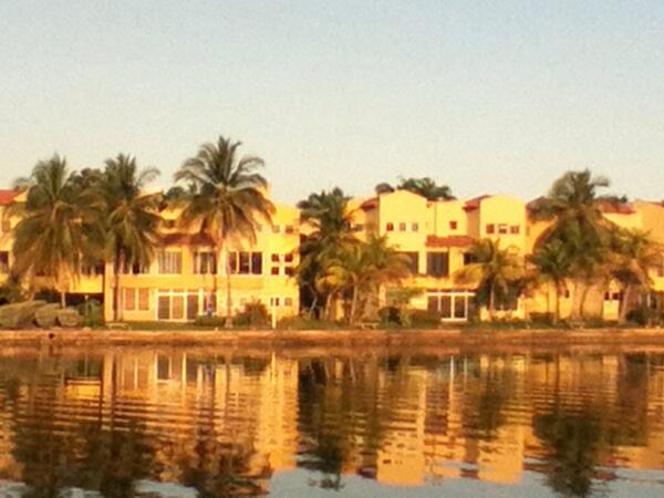 LLindate's tweet image. 