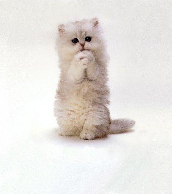 DaveHallmon's tweet image. @Quinnovator @astd Record and share please :-) #eLearningManifesto