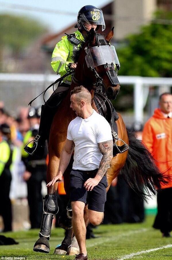 Football Away Days on X: "This Bristol Rovers fan pitch invaded today,  before making a quick dash when approached by a police horse..  http://t.co/kXHzYnyQAN" / X