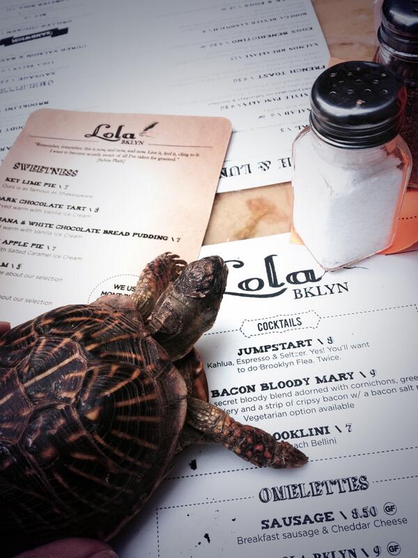#bkbob perusing the menu <a href="/LolaBKLN/">Lola BKLYN</a>
