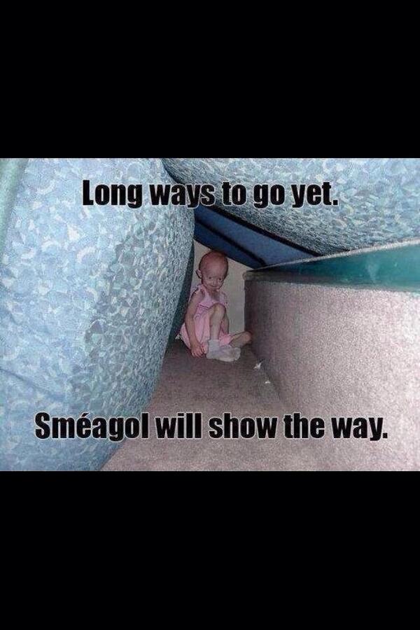 DatHoeTHOT's tweet image. Lul