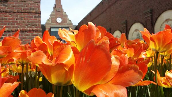 NWSDesMoines's tweet photo. Enjoying the sunshine down at #TulipTime2014
#iawx #iowaweather http://t.co/AupQTc3Mlp