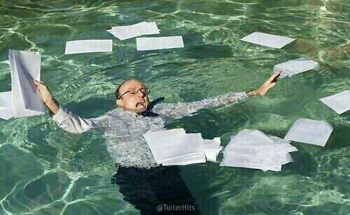 TuiterHits's tweet photo. Mi vida este mes. http://t.co/AE2oie7VKX