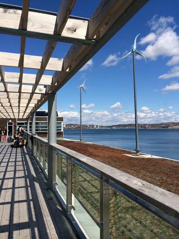 jordonbath's tweet photo. Not bad, Halifax. http://t.co/li8GmjFH1x