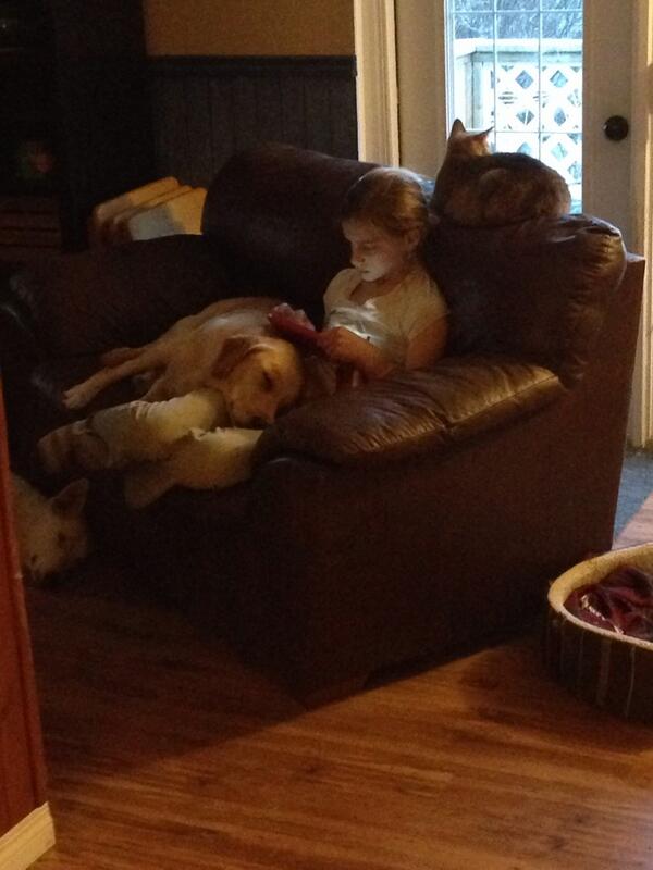 majorcatwoman's tweet image. After a day full of fresh air, fixing fence, chasing cows and doing chores!  #farmlife #notechnologyneeded