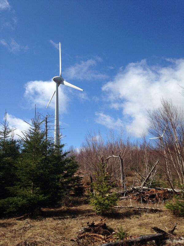 ScenicScotsburn's tweet photo. Big shout out to those who helped out cleaning trails today!  Couldn't ask for better weather! http://t.co/3tgaJ4rPsq