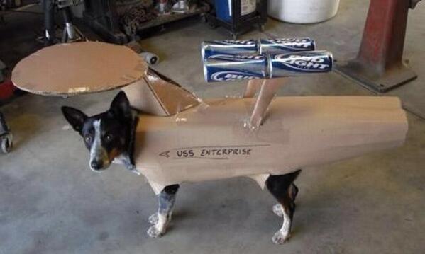 tokyosexwhale's tweet image. A dog dressed as the Millennium Falcon.