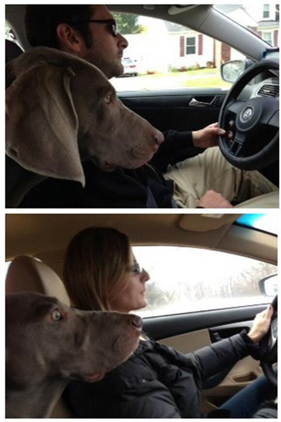 Her Gun 1 Yeni Bilgi On Twitter Kadin Ile Erkek Arasindaki Soforluk Farki Http T Co Gwpjbgvzdn Twitter