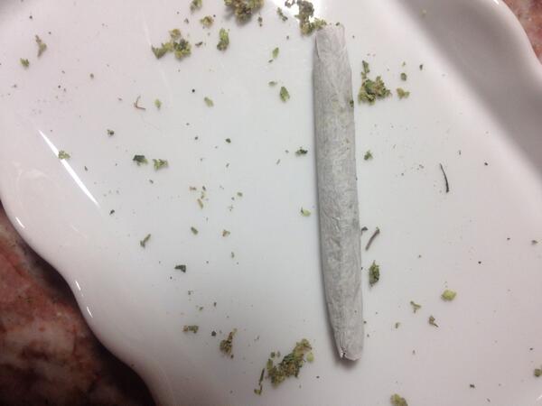 GreenThumbGirls tweet picture