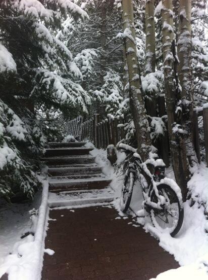 glad I got this bad boy out….#rockymountainlife #beautifulbutmoveon
