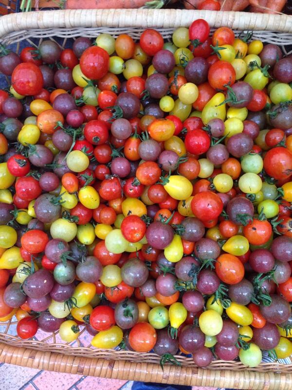 MaxvonPoelnitz's tweet photo. Awesome cherry tomatoes at island east market! http://t.co/hKrebnIkZG