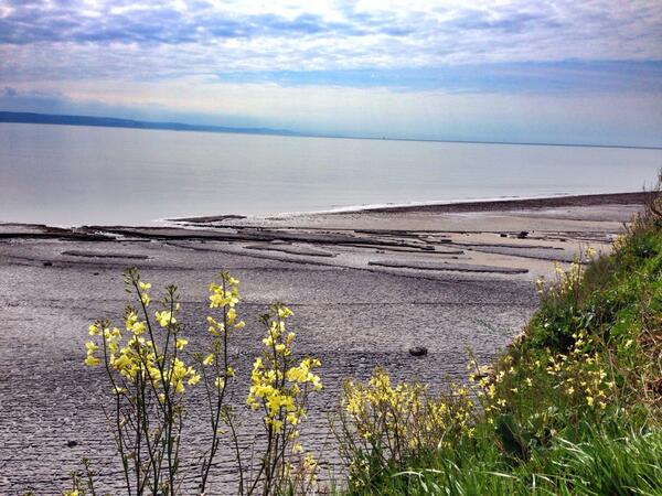 7 hour @WalesCoastPath walk yesterday #itsgoteverything #Fab #Nashpoint- #AtlanticCollege  #Devon #limestonePavement