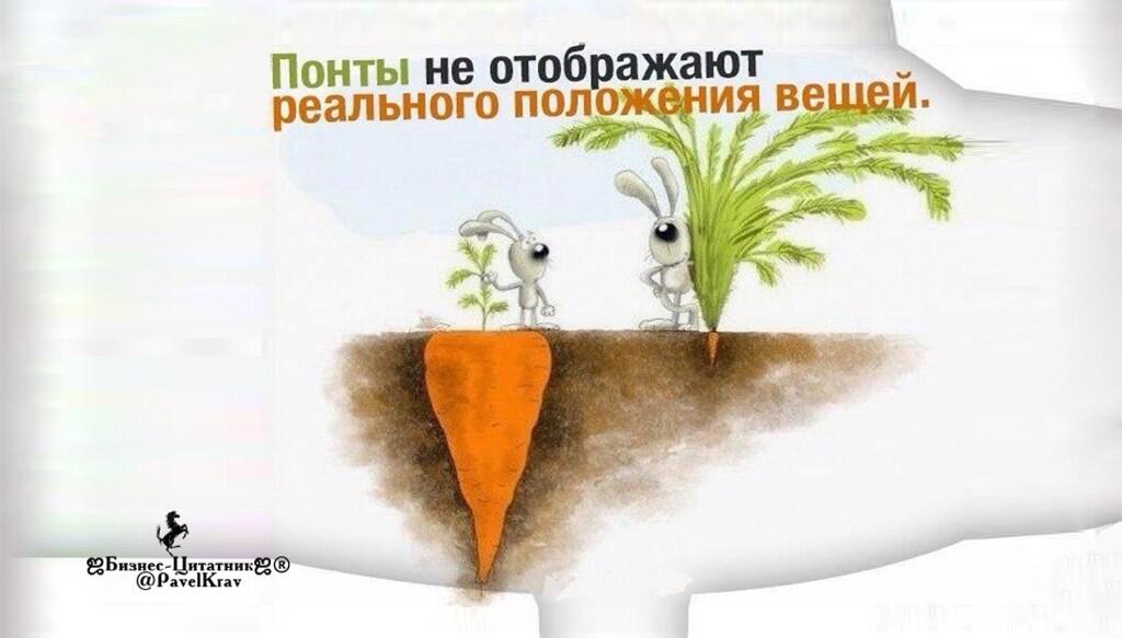 понты одно картинкой основные