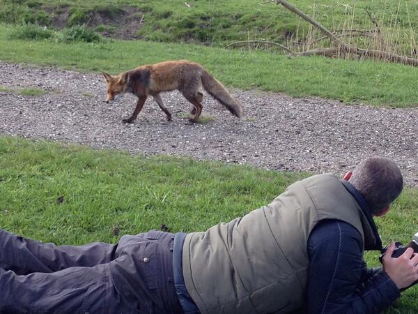 MarijnHeuts's tweet photo. The one that got away. #volgdevos http://t.co/RsqDRJDZY3