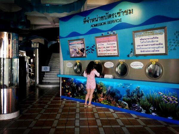 guy_akares's tweet photo. จุดจำหน่ายบัตรเข้าพิพิธภัณฑ์สัตว์น้ำบางแสน ผู้ใหญ่ 60 บาท เด็ก 30 บาท เปิดให้บริการทุกวัน เวลา 08.30-17.00 น. http://t.co/bnvvhTeqjd