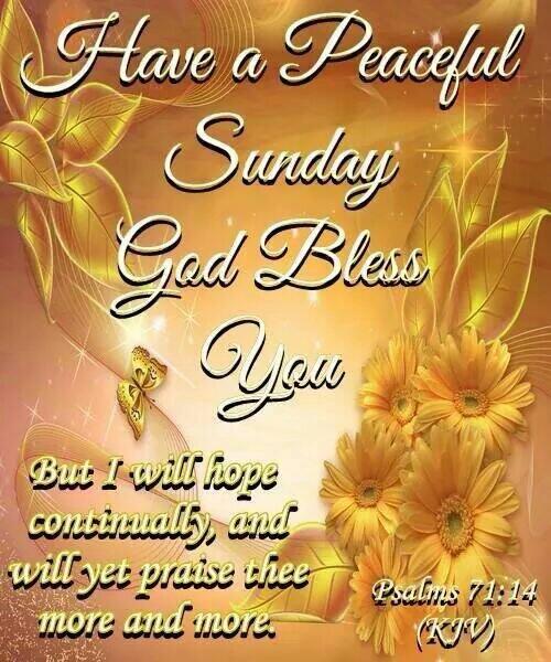 RhondaS's tweet photo. http://t.co/VwhieN6zE1