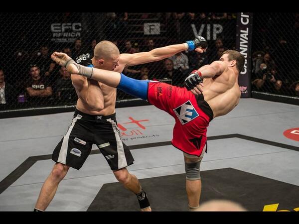 SHIDO Fight Systems tweet media