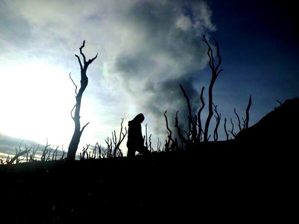 <a href="/infogunung/">infogunung</a> hutan mati Gn. Papandayan