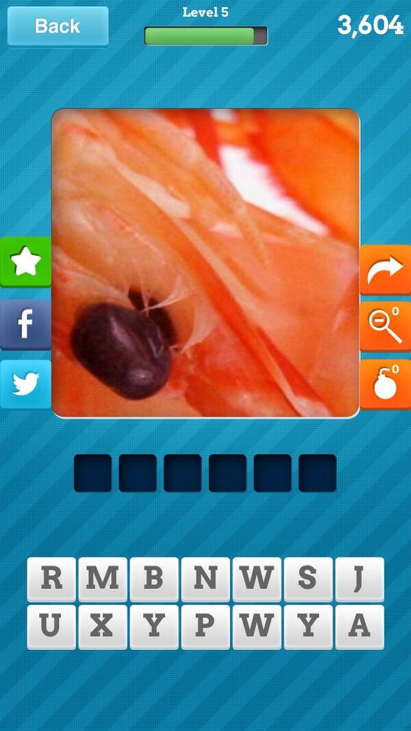 Dana Temple tweet media