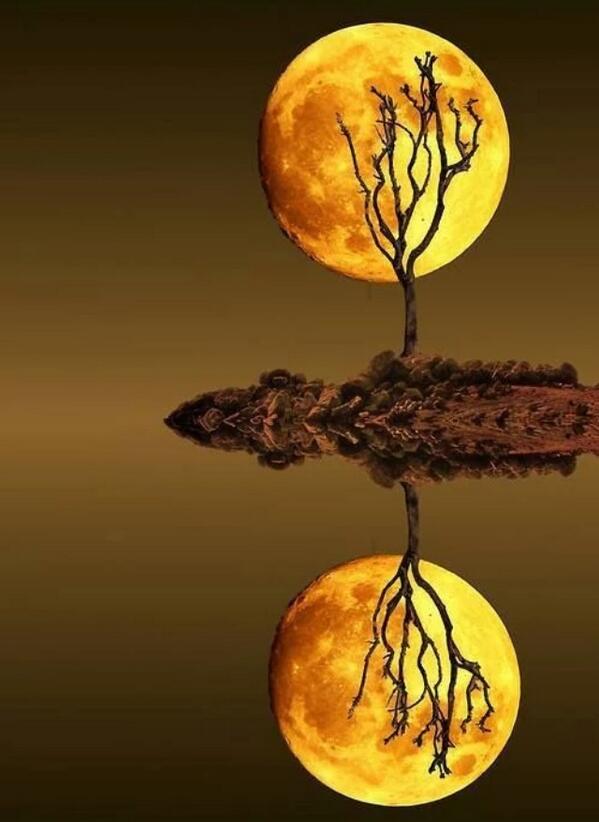 RT <a href="/supp720917/">주페</a>: "<a href="/Dirty_n_Flirty/">Foxy_Lady</a>: Awesome pic "