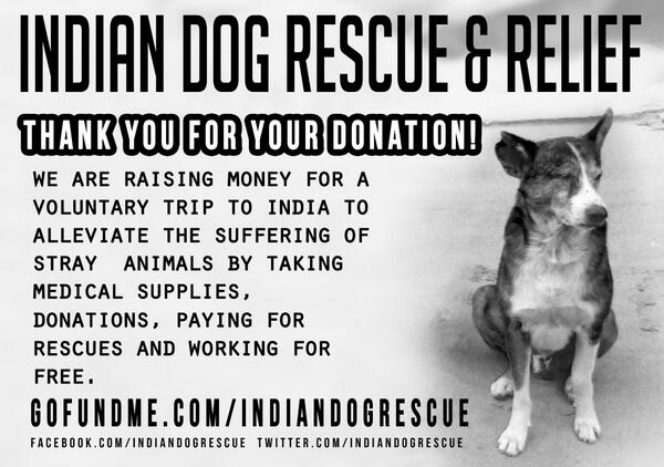 We just got a £1000 #donations. THANK YOU! We can help stop suffering together through #fundraising and #crowdfunding