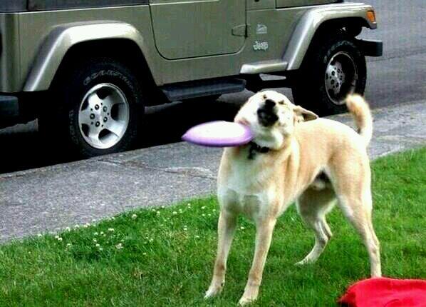 "@NewToxicwaste: Quote this tweet with the 10th saved picture you have :) do it im bored lol"