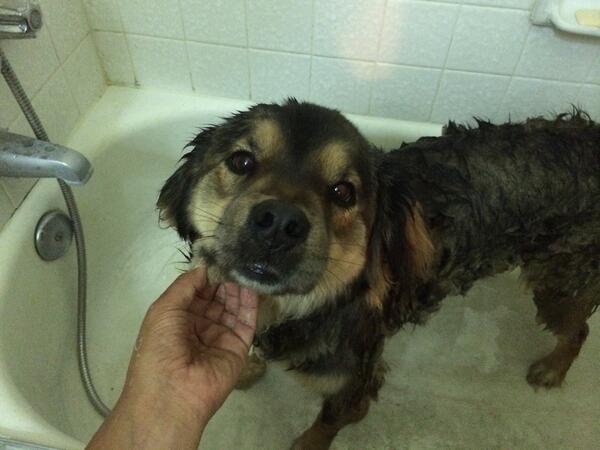 LexieBlogic's tweet image. How can I remember my weekend adventures if you&apos;re washing them away? #lexielogic