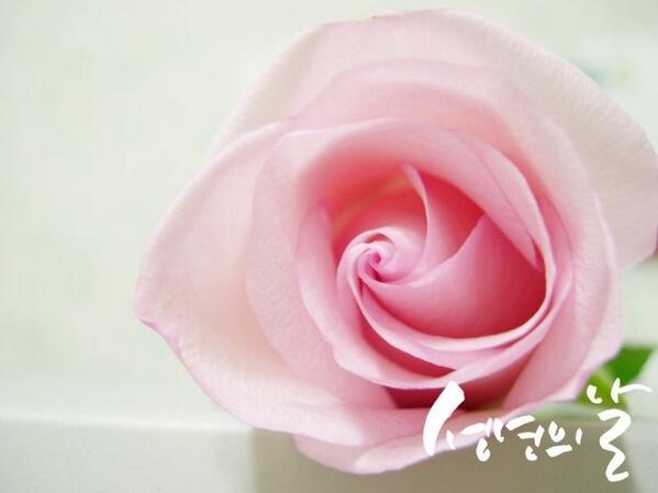 인생에서 가장 아름다운 20대
신나고, 아름답고, 가치있게 만드세요
자신이 사랑받고, 소중한사람이란걸 잊지말고,
최선을 다해 노력하며 행복한 20대를 만들어 가길 바랍니다.
성년이 된 걸 진심으로 축하드립니다