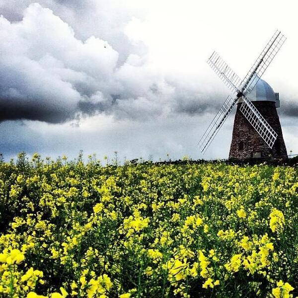 theurbanchefs's tweet image. #Wehavechefsalloversouthenengland
#Springcooking
#wildgarlic
#thankyoutoclarepepperforthephoto
#westsussexwindmill