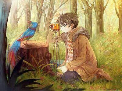 Мальчик и птица дата выхода в цифре. Мальчик птица. Арт мальчик на дереве на фоне неба. Барри пеппер раскрашенная птица. Птицы над крышами.