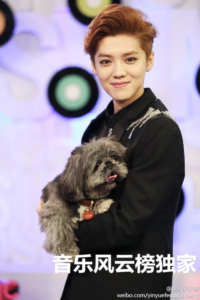 Bn1AgwHIIAAO0R2.jpg:large