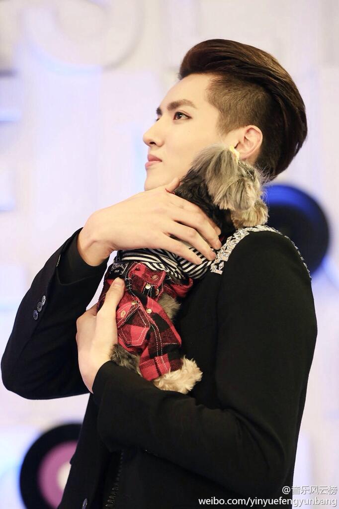 Bn1Fxv1IMAAGzao.jpg:large