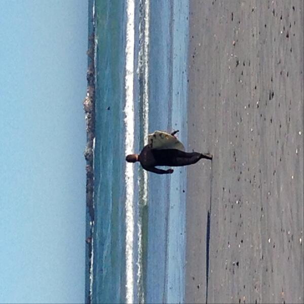 lanceboss's tweet image. This takes serious determination in this cold! #determined