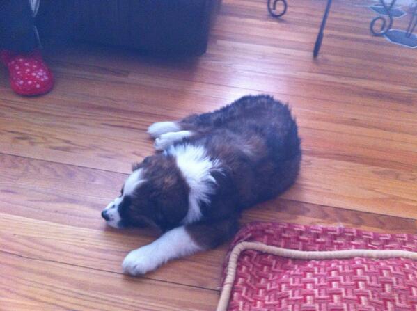 JeffDeanHope tweet media